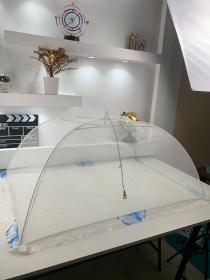 ناموسية أطفال